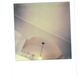 Image for article titled This Slick Camera Brings Polaroid Into the Digital Age